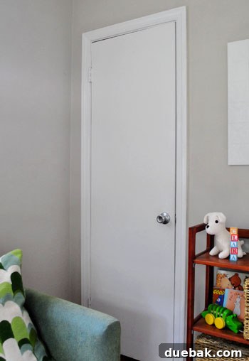 Clever Closet Shelf for Built-In Dog Crate 2 Before image of a cluttered closet, showing clothes and various items overflowing