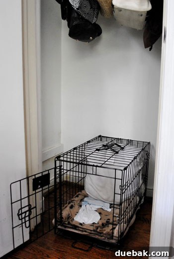 Clever Closet Shelf for Built-In Dog Crate 4 The closet partially cleared out, revealing walls and a pipe, ready for the DIY shelf project