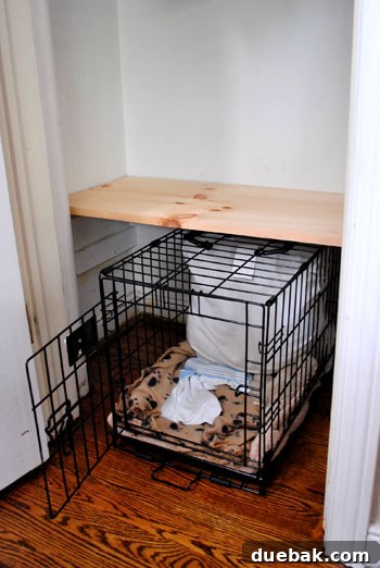 Clever Closet Shelf for Built-In Dog Crate 8 Dog crate fitting perfectly under the newly installed shelf in the closet