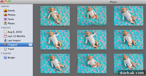 A selection of baby Clara's weekly photos displayed in iPhoto for review