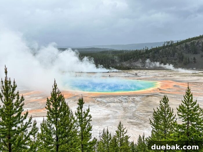 Geyser at Yellowstone National Park