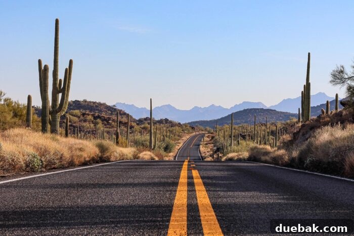 Empty road along Saguaro national park.