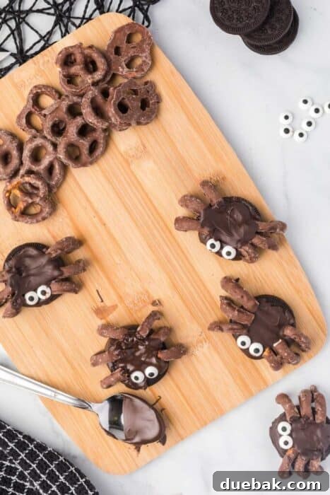 Simple Spooky Spider Treats for Halloween 13 A final shot of multiple completed spider treats arranged creatively on a platter, ready to be served for Halloween.