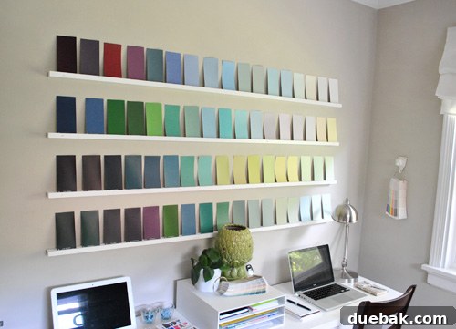 A close-up view of the arranged paint swatches on the wall, showcasing the diverse and rich color palette.