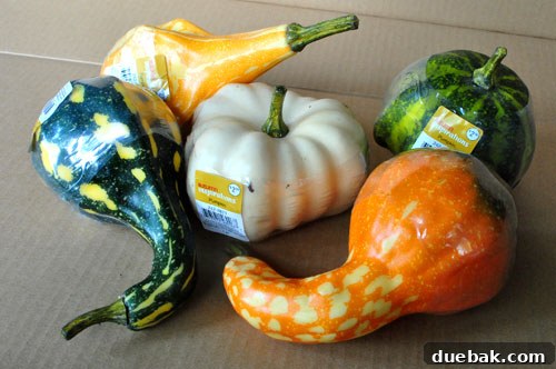 Gourd-geous Autumn Crafts 2 Before transformation: Five colorful faux gourds purchased from a craft store.