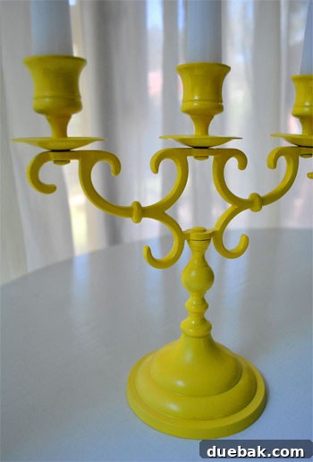 Close-up of Yellow Candlestick