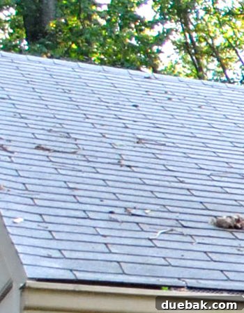 Detailed shot of old roof texture and wear