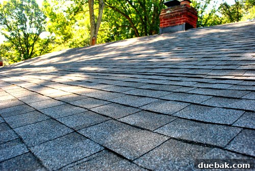 Overall view of the house with its new, modern roof