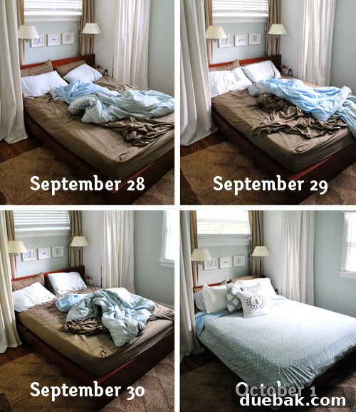 The Daily Bed Ritual 2 A perfectly made bed with a small, dark lump visible under the duvet, hinting at a hidden pet.