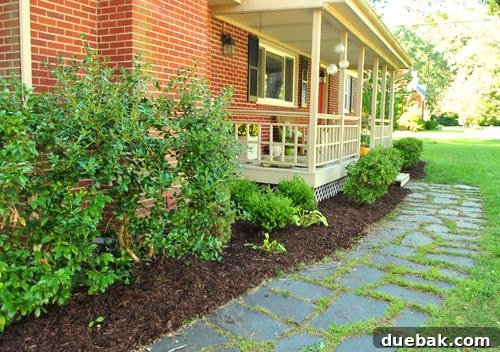 Maximize Your Home's Selling Potential: Clean and Mulch 4 Well-mulched garden bed with various plants.