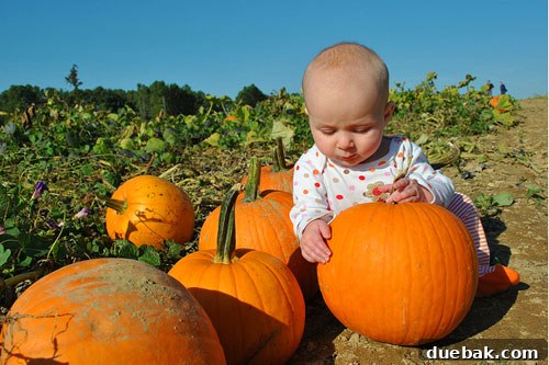 Clara touching a pumpkin, making her choice