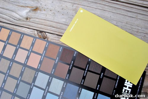 Close-up of the Cornichon paint swatch, selected for the front door