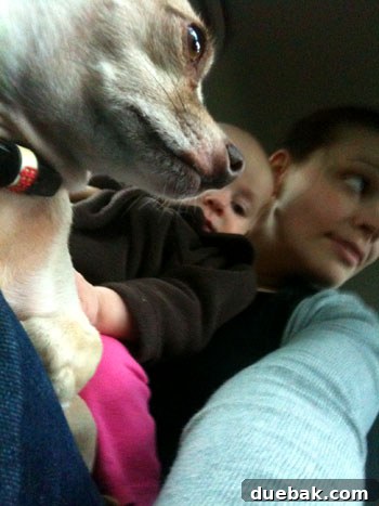 Family waiting in car during home showing