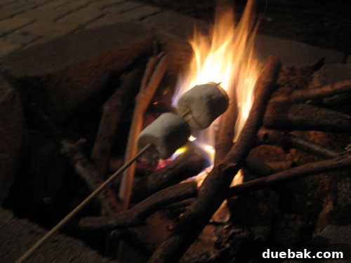 Our First Home: A Collection of Cherished Memories 4 People making s'mores over a fire pit on a patio