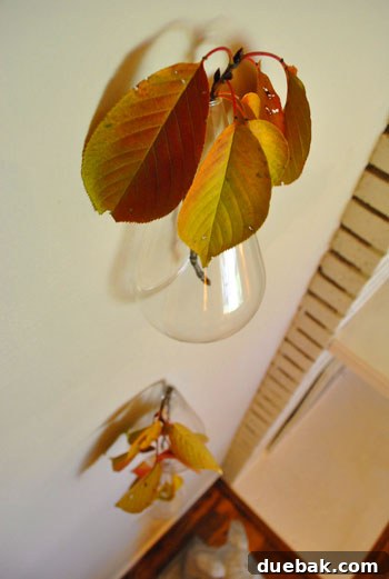 Harvest Home: Autumn Decor Inspiration 4 Another floating vase showcasing delicate fall foliage from a cherry tree
