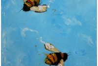 John’s Buzz-Worthy Bee-Day Gift