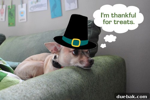 How New Tech Trends Are Transforming the Workplace 2 Burger in a pilgrim hat for Thanksgiving