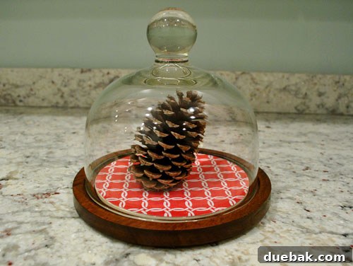 Upcycled cheese plate with glass dome, holding a collection of pinecones.