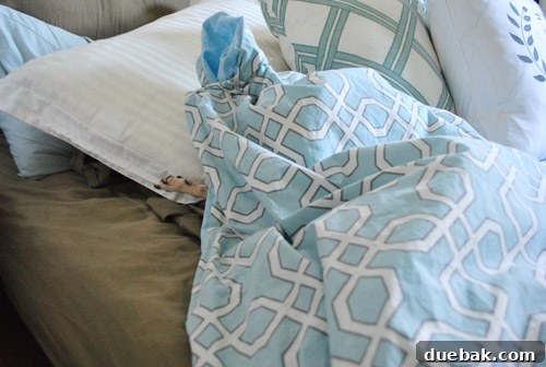 Loose Threads 2 A freshly made bed with neat pillows and duvet, shortly before a dog's playful undoing