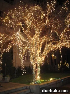 Richmond Elegance Meets Kitsch 2 Elegant Christmas tree decorated with white lights in historic downtown Richmond, Virginia