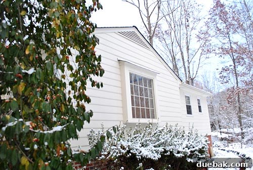 Rear exterior of the house, showcasing appealing architectural lines and future renovation inspiration