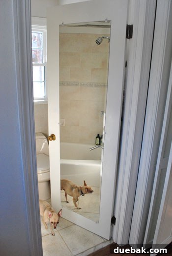 Full-length mirrored door in the bathroom, planned for removal during renovation