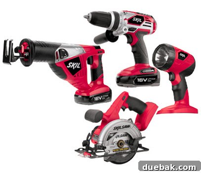 Skil-ly Weather Freebie Forecast 2 Skil 18V Lithium-Ion Cordless 4-Tool Combo Pack
