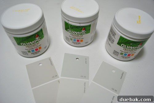 testing three Benjamin Moore gray paint options mixed in Olympic paint test cans - Collingswood Grey Owl and Moonshine