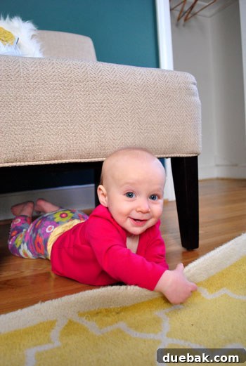 Clara, the little helper, watching guest room makeover progress