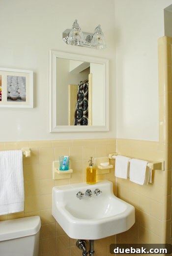 The Guest Bath: Unfussy Utility 3 Close-up of bathroom sink area with minimal decor.