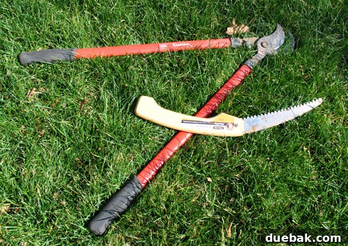 Corona branch clipper and WoodZig hand saw, essential tools for DIY tree pruning.