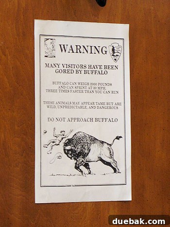 A vintage flyer from Yellowstone National Park warning visitors about the dangers of buffalo attacks.