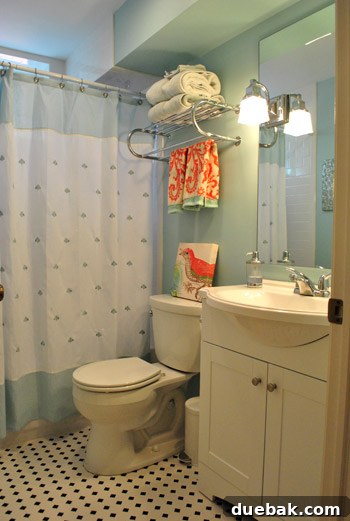 Charming and bright basement guest bathroom with stylish decor and fluffy towels