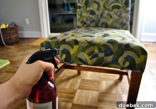 Transform Your Upholstery With Fabric Paint Medium 10 Spraying the dining chair fabric with water before painting
