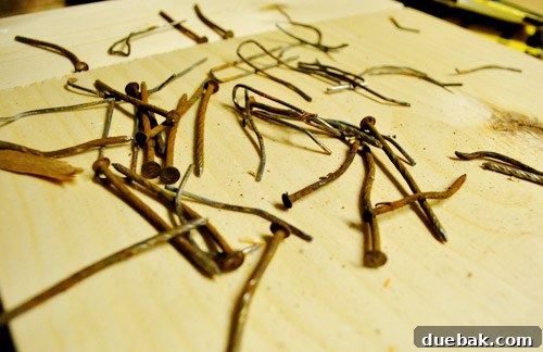 Pile of nails and staples removed from pallet wood after 90 minutes of work