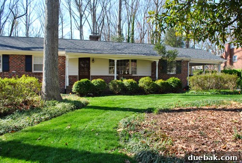 First Look: Our New Home's Exterior 2 Front view of the house showing a compact front yard with some bushes and a large magnolia tree