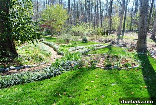 First Look: Our New Home's Exterior 11 Another view of the expansive, wild backyard, highlighting its current untended state