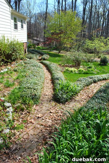 First Look: Our New Home's Exterior 13 View of a brick pathway in the backyard, flanked by round planting beds that are targeted for removal