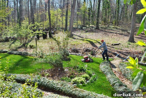 First Look: Our New Home's Exterior 17 A wide shot of the backyard showing the mower and the irregular shape of the lawn with stone borders