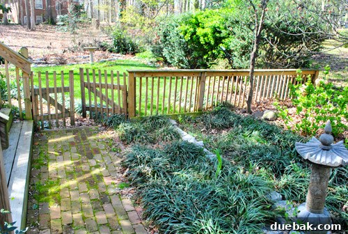 First Look: Our New Home's Exterior 19 Burger the dog enjoying the fenced side yard, showing the zen lawn ornament