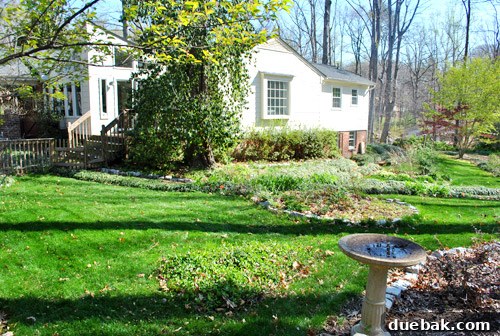 First Look: Our New Home's Exterior 10 A large, unkempt area in the backyard covered in fallen leaves, suggesting previous wooded character