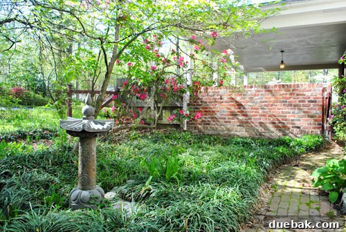 Easy Rain Barrel Setup 5 Outdoor area behind carport with a fence and plants