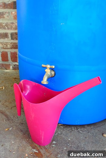 Easy Rain Barrel Setup 7 Watering can placed under a rain barrel spigot
