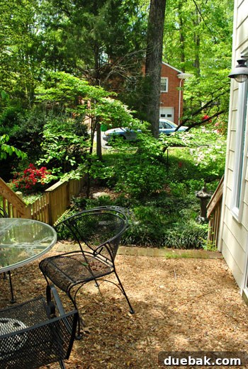 Easter Steals 24 Empty side yard of a house, awaiting the new patio and fencing project