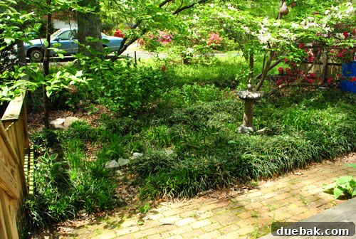 Easter Steals 25 Another view of the side yard, showing potential for outdoor renovation