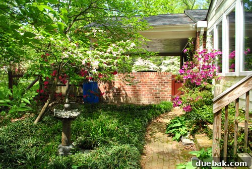 Easter Steals 26 Perspective of the side yard, visualizing the future patio area
