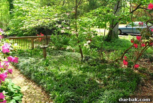 Easter Steals 27 Further angle of the side yard, highlighting the space designated for the new outdoor living area