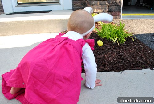Easter Steals 7 Clara intently looking for Easter eggs in the lush green grass