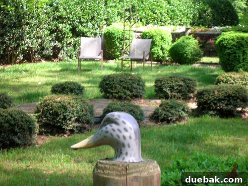 A fence post with a fake duck head mounted on top, from the previous house.