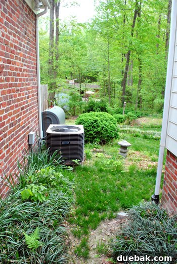 The same alleyway, showing some natural growth starting to obscure the view slightly, a small step towards improved privacy.